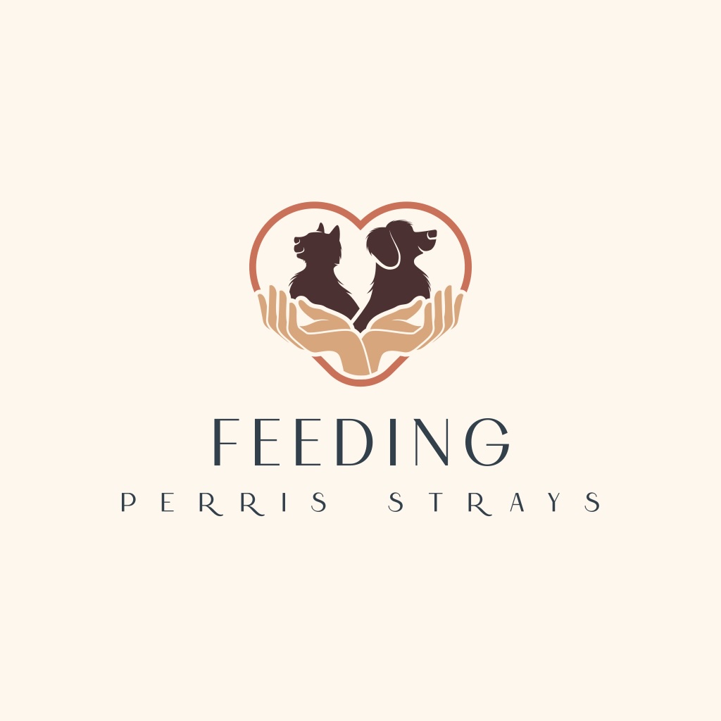 Feeding Perris Strays